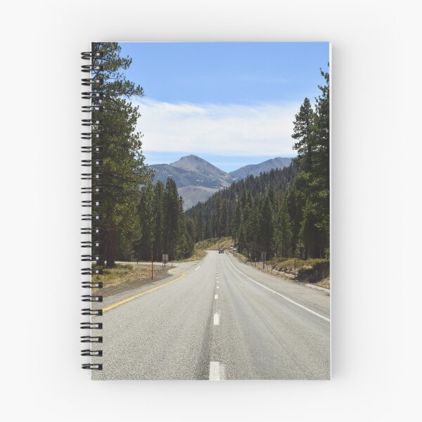 Item preview, Highway 395, Mono County, California designed and sold by Mike Kunes.