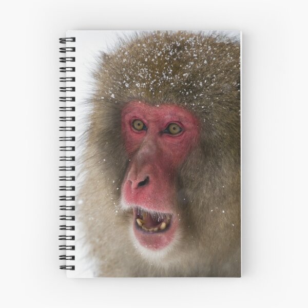 Artikelvorschau, Japanese Macaque entworfen und verkauft von Simon Fallon.