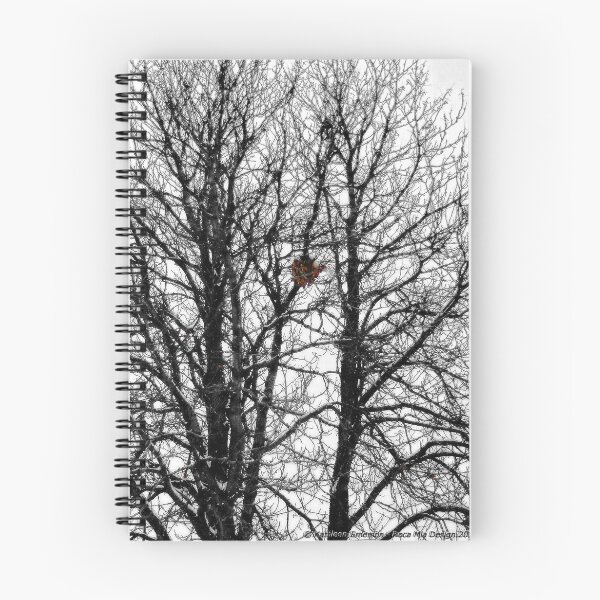 Item preview, The Empty Nest designed and sold by rocamiadesign.