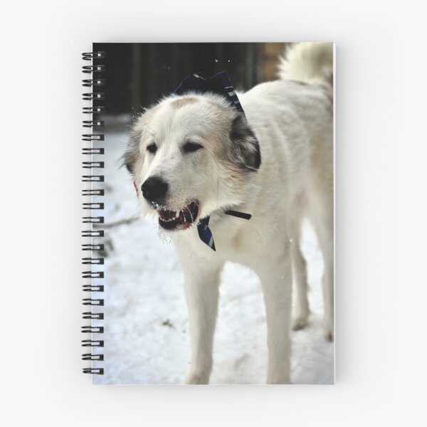 Item preview, Digger designed and sold by SamTheCowdog.