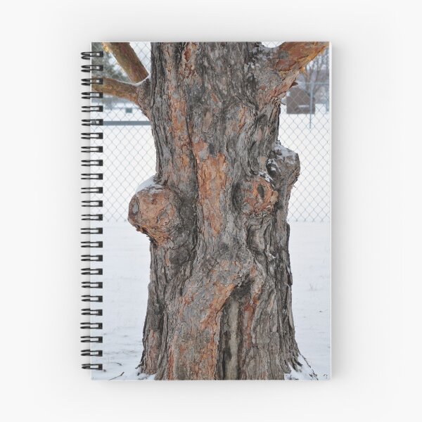 Item preview, Old Man Tree designed and sold by MaryLynn.
