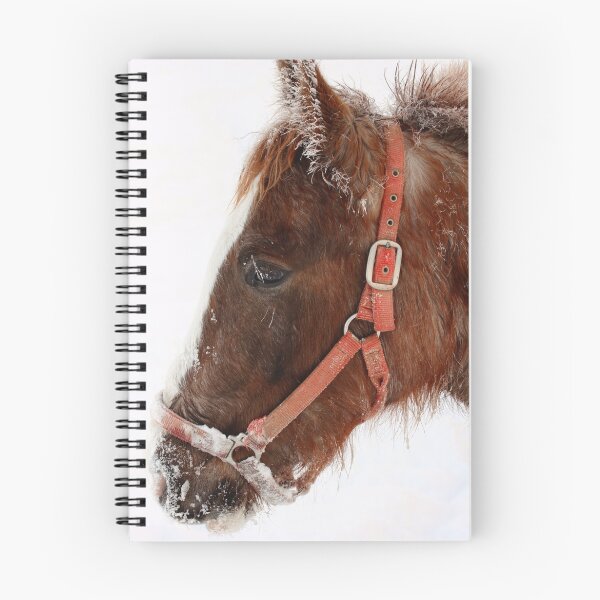 Item preview, Winter Horse designed and sold by David Kocherhans.