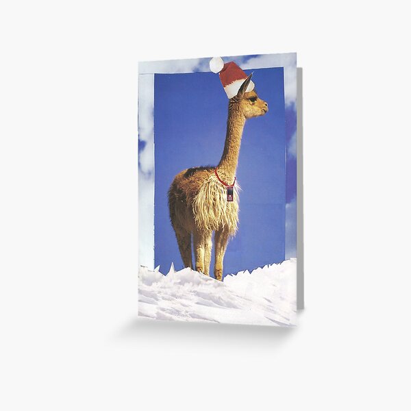 Llama Santa Greeting Card