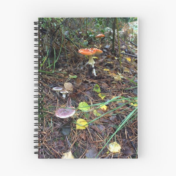 Artikelvorschau, Wald entworfen und verkauft von Doug McRae.