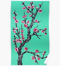Arizona Green Tea Background Cherry Blossom Poster