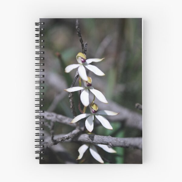 Item preview, Native Orchid White designed and sold by Lozzar Flowers & Art.