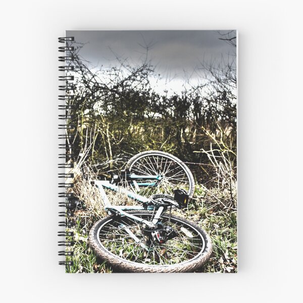 Aperçu de l'œuvre Broken bicycle créée et vendue par Marie Craig.