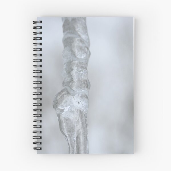 Item preview, Humerus-radius-ulna designed and sold by mltrue.