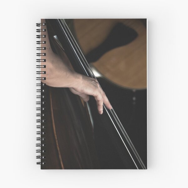Item preview, Double Bass & Guitar in Brunswick Street Mall designed and sold by David Mellor.
