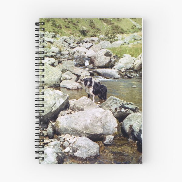 Item preview, Young Indy in the Aber River designed and sold by Michael Haslam.