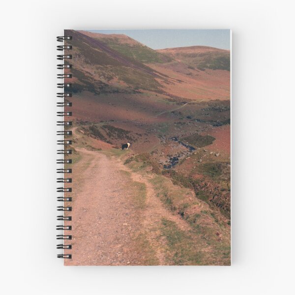 Item preview, On the way to Aber lake designed and sold by Michael Haslam.