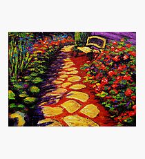 Bench & Stone Garden Pathway Photographic Print