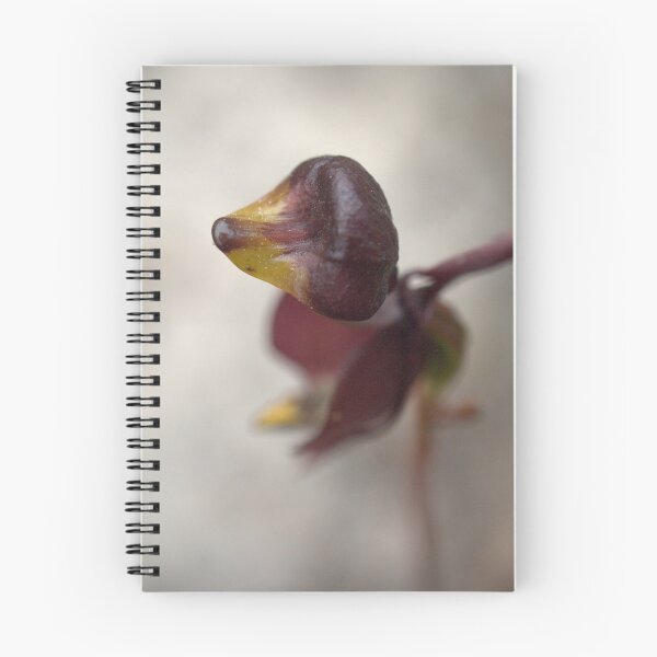 Item preview, More Like A Dachshund, Than A Duck designed and sold by Ben Loveday.