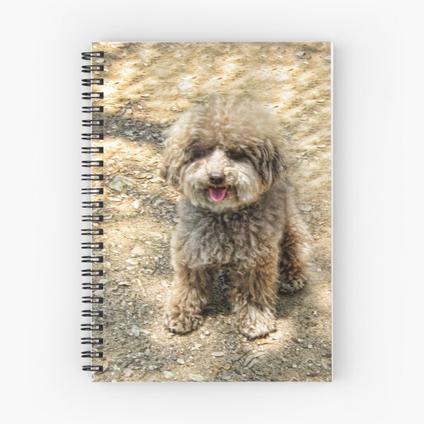 Item preview, Just Once Look Thats All It Took designed and sold by ✿✿ Bonita ✿✿ ђєℓℓσ.