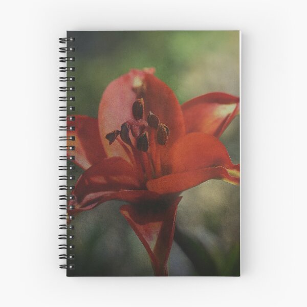 Item preview, Muted Truths.... designed and sold by Sharon House.