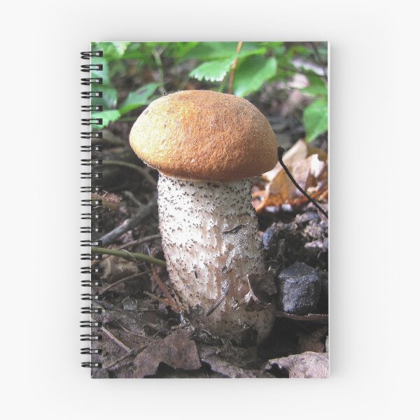 Item preview, Little Brown Cap designed and sold by Rusty (Helen)  Valenza.