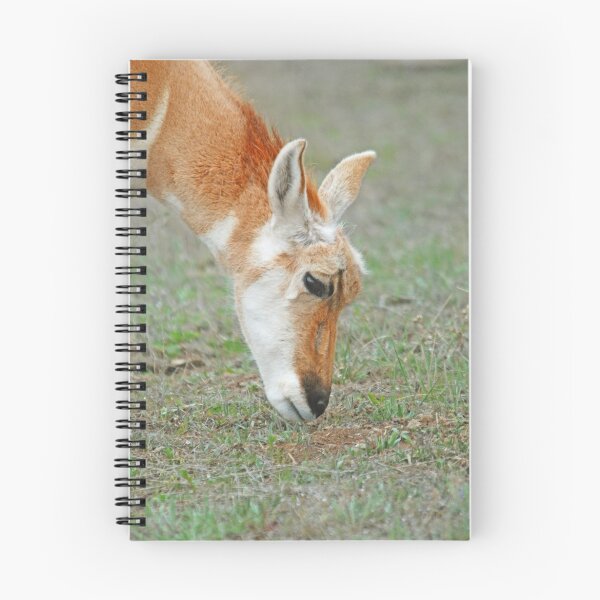 Item preview, Antelope feed designed and sold by Rodney55.