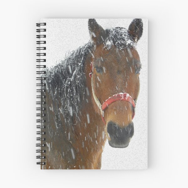 Item preview, Nayyyyyyhbors Horse in the snow designed and sold by NatureGreeting Cards ©ccwri.