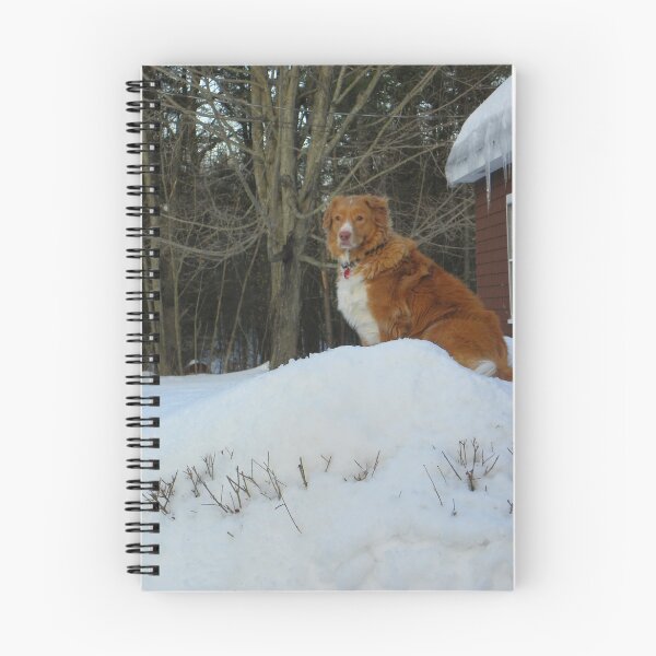 Item preview, King of the Hill - Dog Style designed and sold by MaryinMaine.