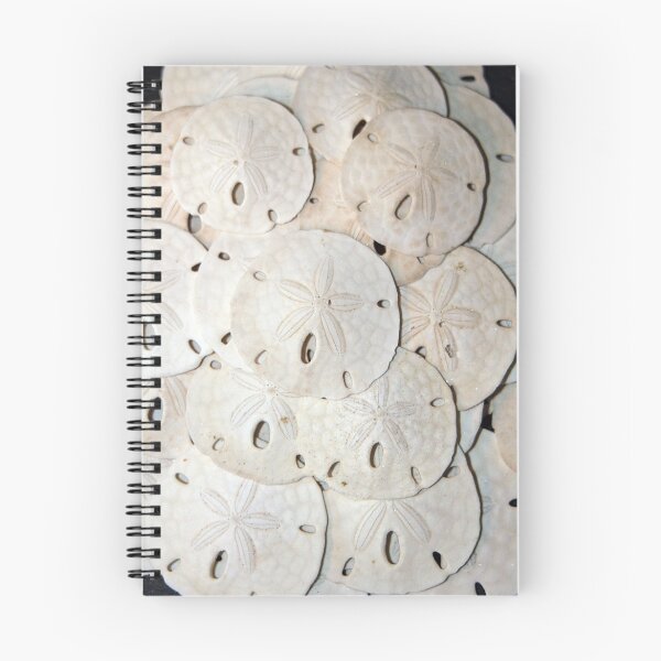 Item preview, Sand Dollars designed and sold by RebeccaBlackman.