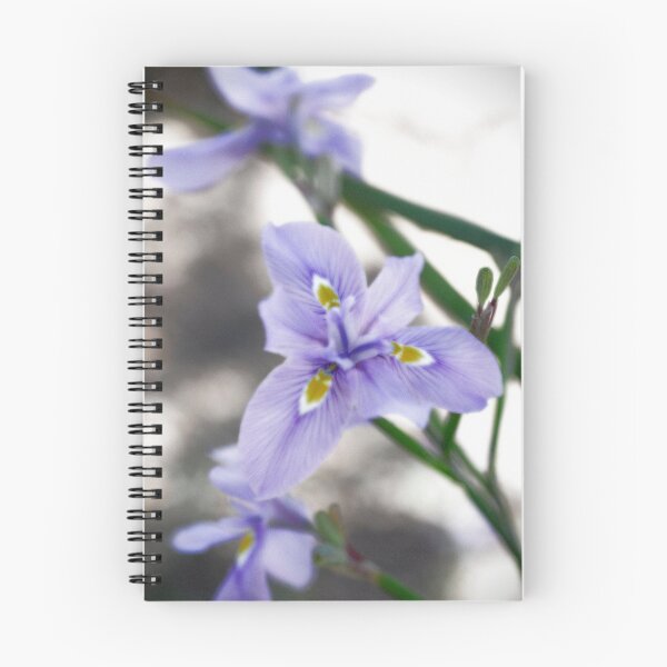 Item preview, Softly Spoken designed and sold by Saija  Lehtonen.