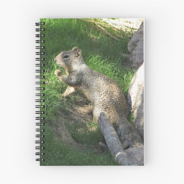 Item preview, Rock Squirrel ~ Darn! Where's my nuts? designed and sold by Luck of the Shutter.