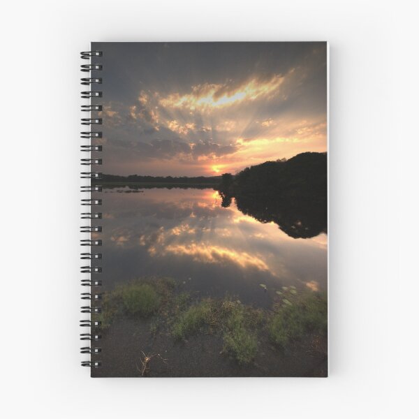 Item preview, Sunset at Ranthambore Park designed and sold by ccullen222.