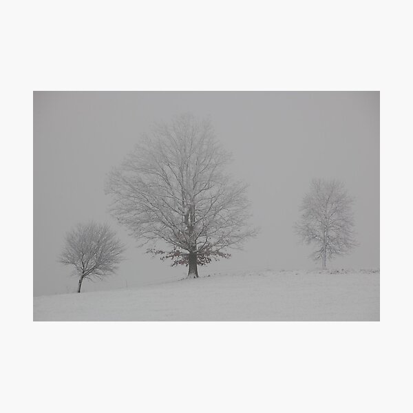 Artikelvorschau, winter peace entworfen und verkauft von dc witmer.