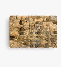 Rock Ledge Canvas Print