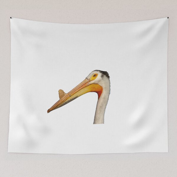 Item preview, Isolated White Pelican 2014-1 designed and sold by Thomasyoung.