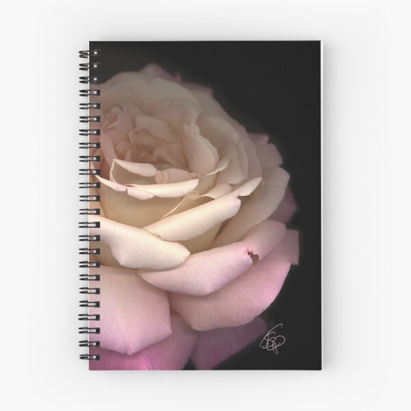 Artikelvorschau, Beauty Mark: Chicago Peace Rose entworfen und verkauft von tscp.