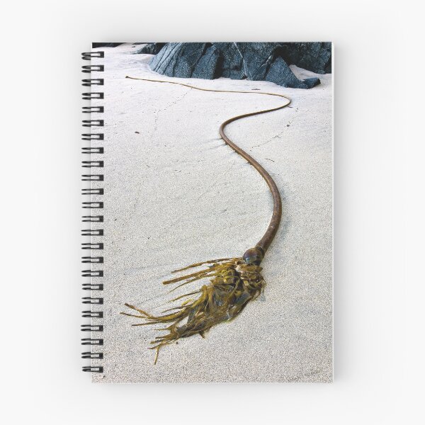 Item preview, Bull Kelp designed and sold by Buzzimage.