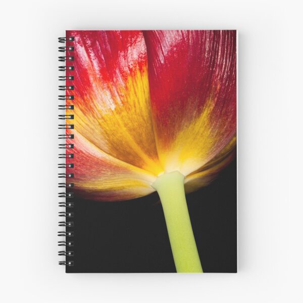 Item preview, Red Tulip designed and sold by Janet Fikar.