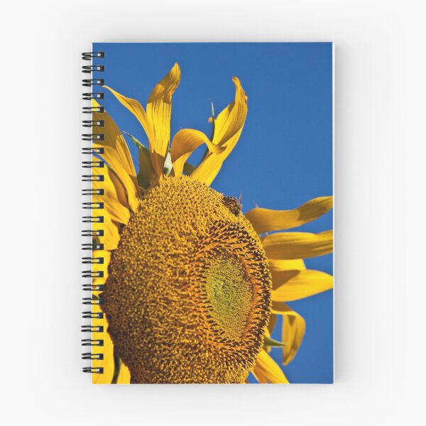 Item preview, Sunflower & Bee designed and sold by Dave Kelly.