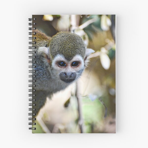 Item preview, Peek-A-Boo designed and sold by Saija  Lehtonen.