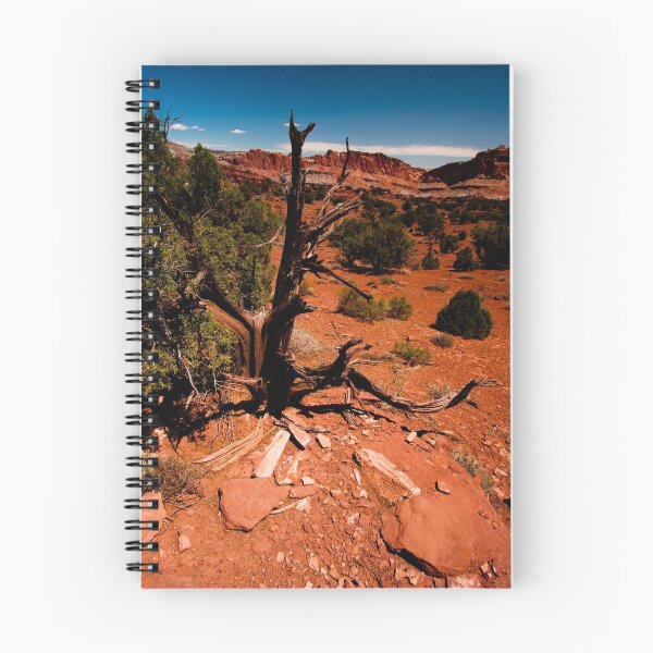 Item preview, On The Trail - Capital Reef  designed and sold by Melissa Quigley.