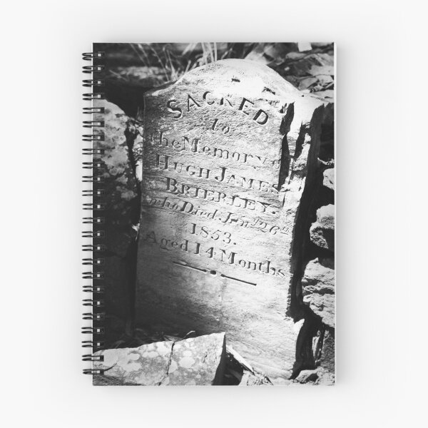 Item preview, Pennyweight Children's Cemetery designed and sold by John Bullen.