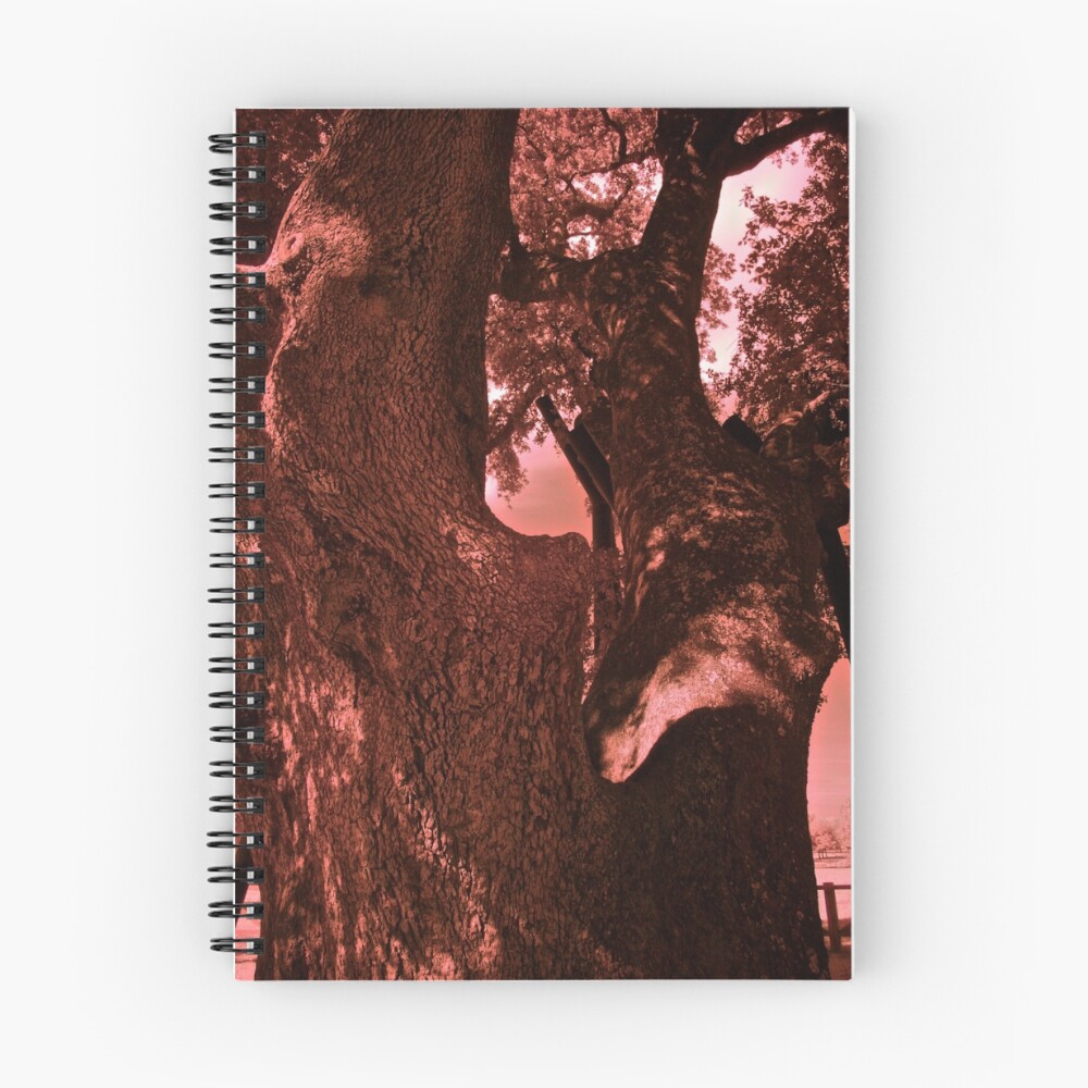 Item preview, Spiral Notebook designed and sold by Raphanus.