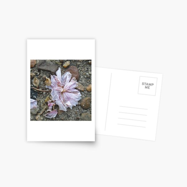 Item preview, Fallen Pink Blossom designed and sold by Jeanne Kramer-Smyth.