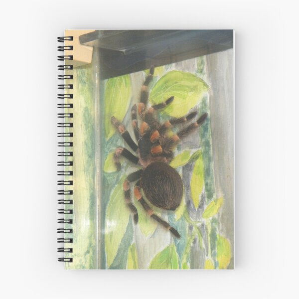 Artikelvorschau, Mexican Red Knee Tarantula (Brachypelma smithii) entworfen und verkauft von Michaela1991.