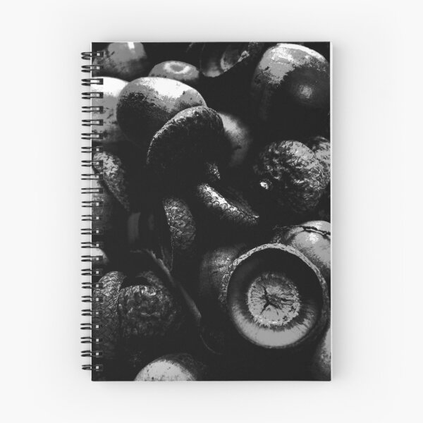 Item preview, Sweeping Acorns Away - Ringwood NJ designed and sold by DylanGThompson.