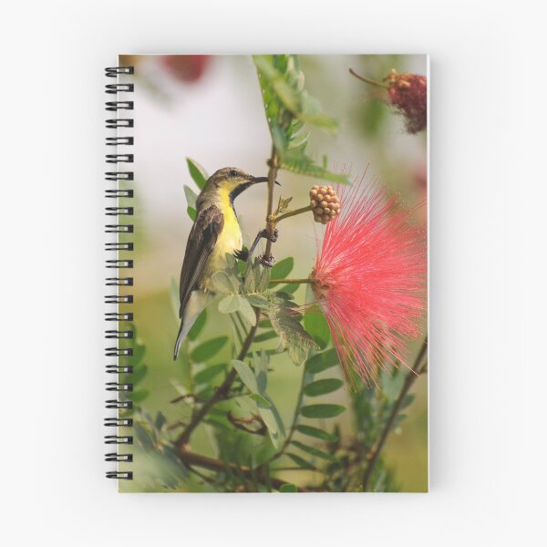 Item preview, Purpled-rumped Sunbird, Ranthambore designed and sold by ccullen222.