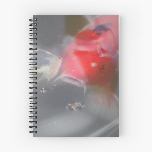 Item preview, Transparency designed and sold by Sazzyshortness.