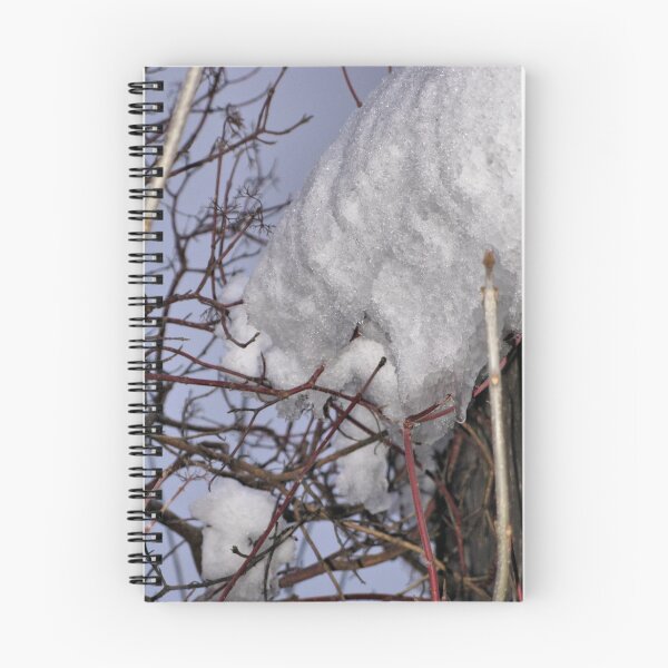 Item preview, Winter's Grip designed and sold by kenspics.