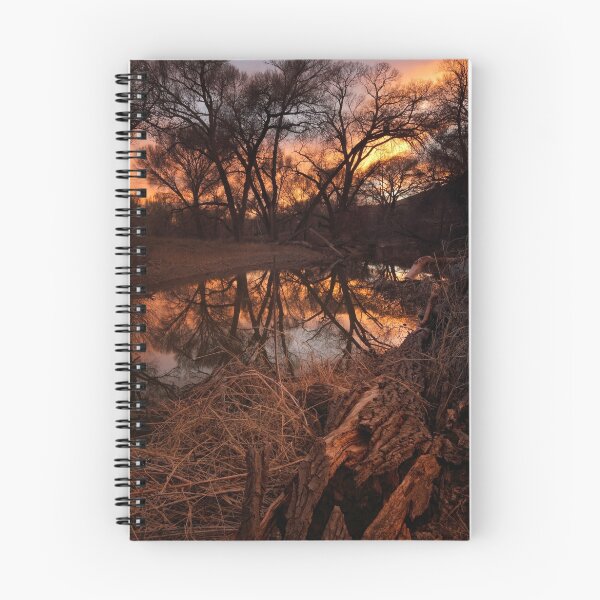 Item preview, A Log Enjoys A Sunset designed and sold by Bob Larson.