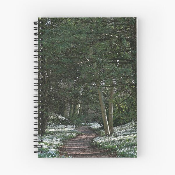Item preview, Walsingham Snowdrops designed and sold by Beverley Barrett.