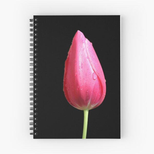 Item preview, Single red tulip flower  designed and sold by snehit.