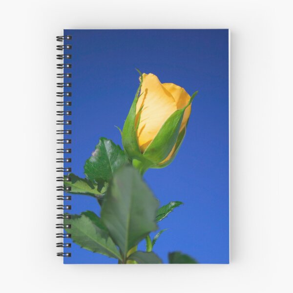 Item preview, Yellow rose designed and sold by snehit.