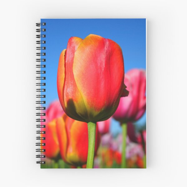 Item preview, Red tulip designed and sold by snehit.