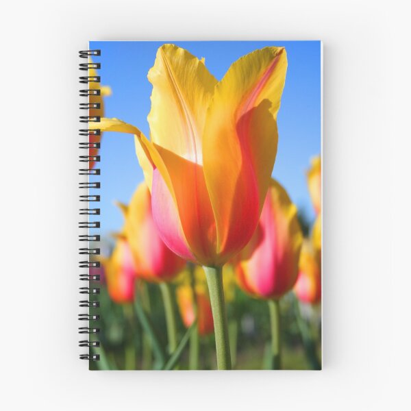 Item preview, yellow tulip designed and sold by snehit.